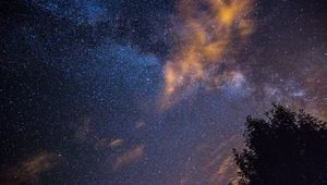 Preview wallpaper starry sky, stars, night, tree