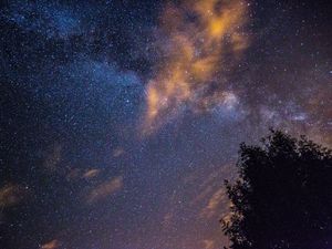 Preview wallpaper starry sky, stars, night, tree