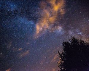 Preview wallpaper starry sky, stars, night, tree