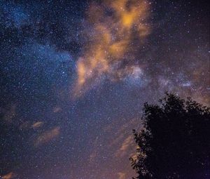 Preview wallpaper starry sky, stars, night, tree