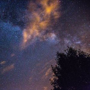 Preview wallpaper starry sky, stars, night, tree