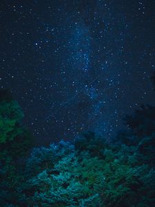 Preview wallpaper starry sky, stars, night, trees