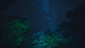 Preview wallpaper starry sky, stars, night, trees