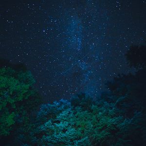 Preview wallpaper starry sky, stars, night, trees