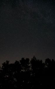 Preview wallpaper starry sky, stars, night, trees, dark