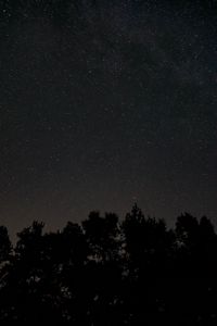 Preview wallpaper starry sky, stars, night, trees, dark