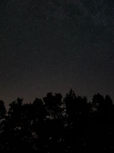 Preview wallpaper starry sky, stars, night, trees, dark
