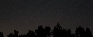 Preview wallpaper starry sky, stars, night, trees, dark