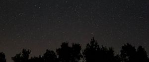 Preview wallpaper starry sky, stars, night, trees, dark