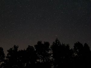 Preview wallpaper starry sky, stars, night, trees, dark
