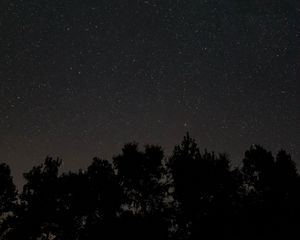 Preview wallpaper starry sky, stars, night, trees, dark