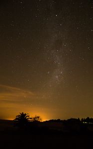 Preview wallpaper starry sky, stars, night, palm, outlines