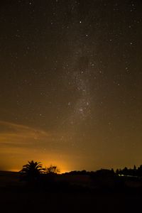 Preview wallpaper starry sky, stars, night, palm, outlines