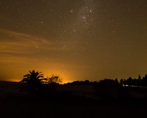 Preview wallpaper starry sky, stars, night, palm, outlines