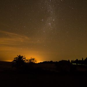 Preview wallpaper starry sky, stars, night, palm, outlines