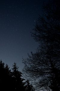 Preview wallpaper starry sky, stars, night, branches, bottom view