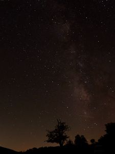 Preview wallpaper starry sky, stars, night, trees, silhouettes, dark