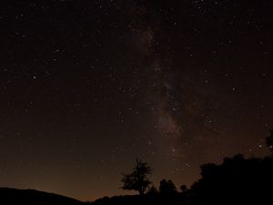 Preview wallpaper starry sky, stars, night, trees, silhouettes, dark