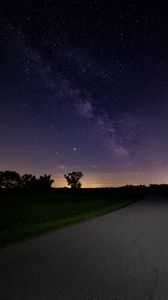 Preview wallpaper starry sky, stars, road, bushes, night