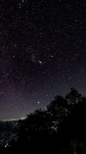 Preview wallpaper starry sky, stars, shine, night, trees, starry night