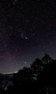 Preview wallpaper starry sky, stars, shine, night, trees, starry night