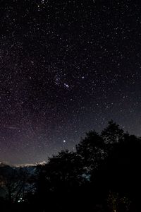 Preview wallpaper starry sky, stars, shine, night, trees, starry night