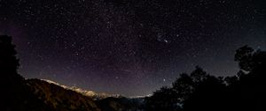 Preview wallpaper starry sky, stars, shine, night, trees, starry night