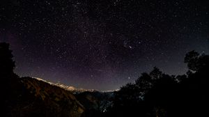 Preview wallpaper starry sky, stars, shine, night, trees, starry night