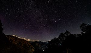 Preview wallpaper starry sky, stars, shine, night, trees, starry night