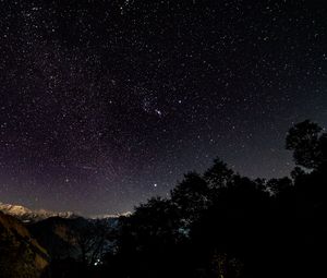 Preview wallpaper starry sky, stars, shine, night, trees, starry night