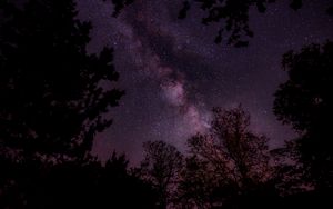 Preview wallpaper starry sky, stars, sky, night, trees