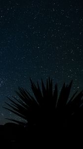 Preview wallpaper starry sky, stars, space