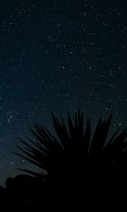 Preview wallpaper starry sky, stars, space