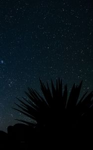 Preview wallpaper starry sky, stars, space