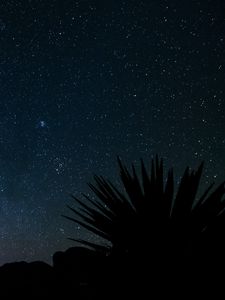 Preview wallpaper starry sky, stars, space