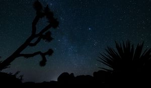 Preview wallpaper starry sky, stars, space