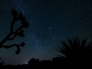 Preview wallpaper starry sky, stars, space