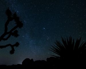 Preview wallpaper starry sky, stars, space