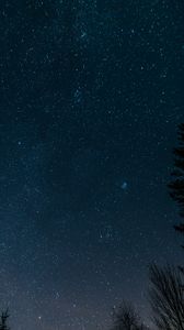 Preview wallpaper starry sky, stars, space, glitter