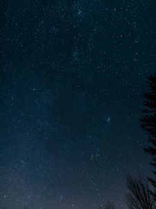 Preview wallpaper starry sky, stars, space, glitter