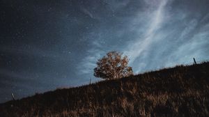 Preview wallpaper starry sky, stars, tree, grass, night