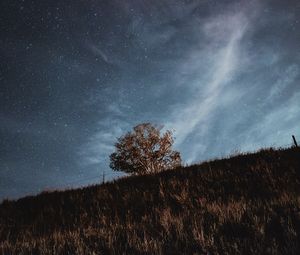 Preview wallpaper starry sky, stars, tree, grass, night