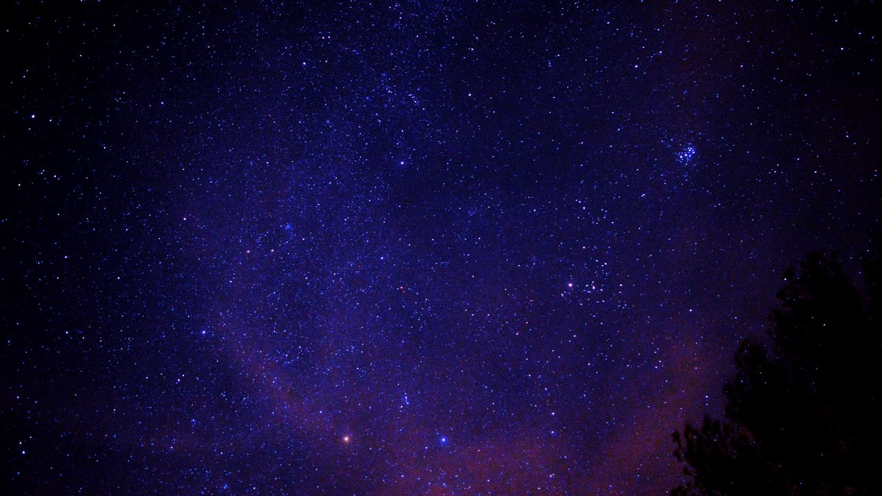 Wallpaper starry sky, stars, tree, space hd, picture, image