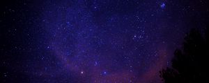 Preview wallpaper starry sky, stars, tree, space