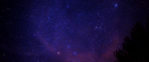 Preview wallpaper starry sky, stars, tree, space