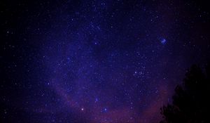 Preview wallpaper starry sky, stars, tree, space