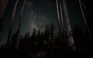 Preview wallpaper starry sky, stars, trees, night