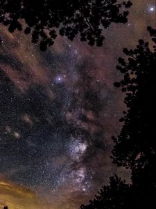 Preview wallpaper starry sky, stars, trees, glitter