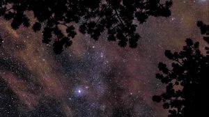 Preview wallpaper starry sky, stars, trees, glitter