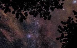 Preview wallpaper starry sky, stars, trees, glitter